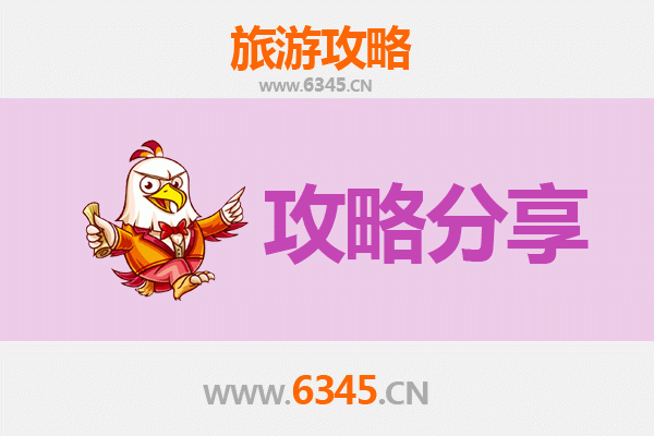 南京旅游选择指南：跟团游与自由行全方位对比